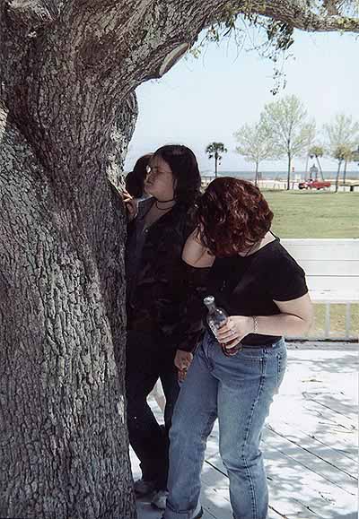 Becca, Fer, and Lacey examin a tree